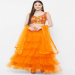 Embroidery Party Lehenga